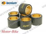 РОЛКИ ВАРИАТОР 19x15.5x7 гр. ПИАДЖО - DYNA ROLL (TECNIUM)